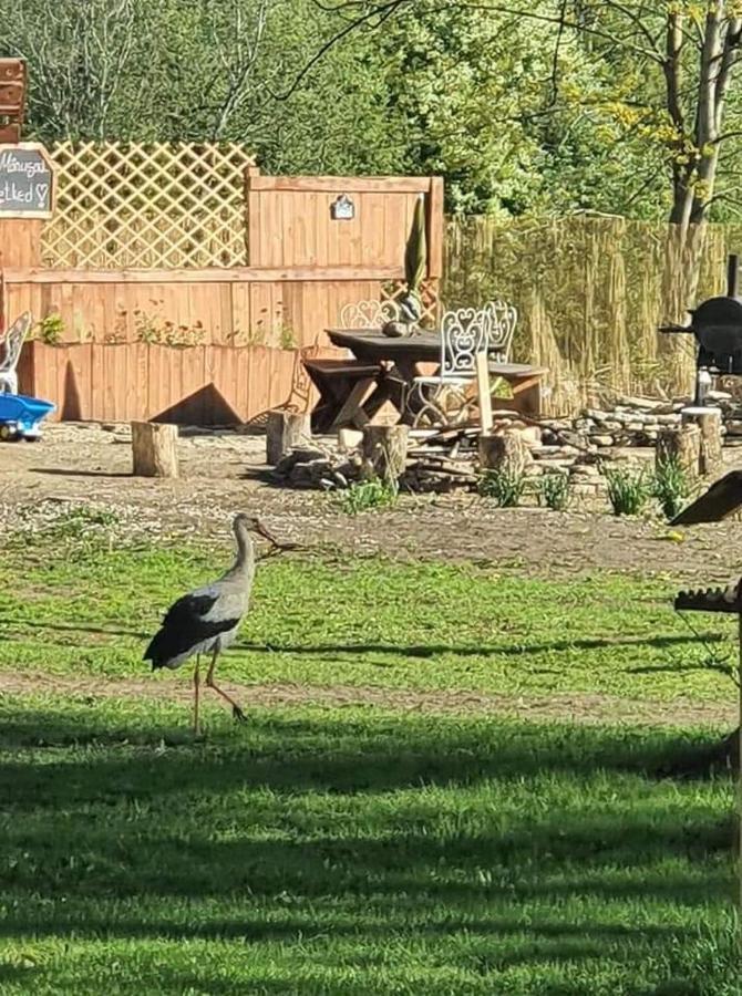 B&B Rando & Kaerdi Juures Oue Lyuganuse Buitenkant foto