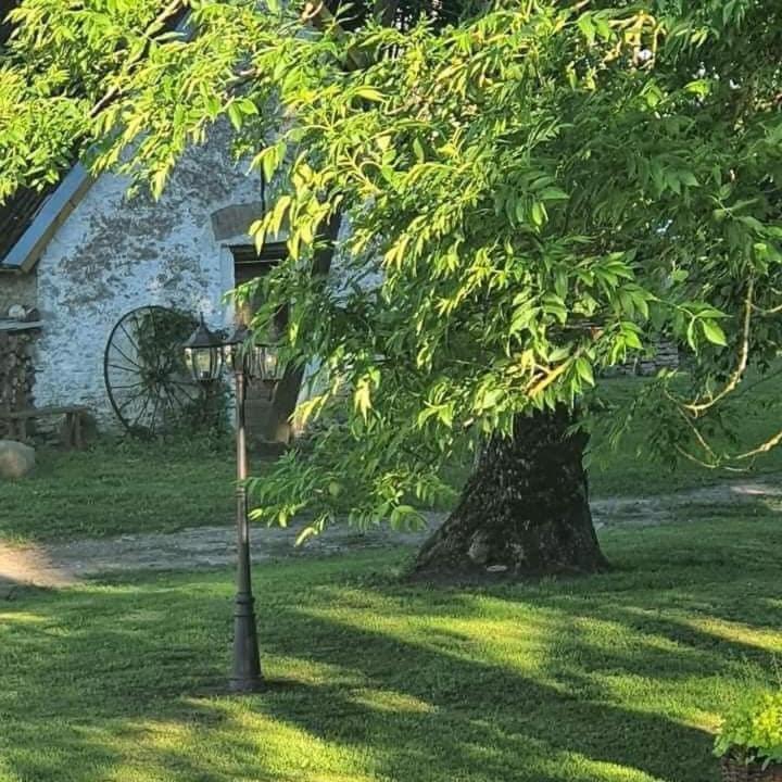 B&B Rando & Kaerdi Juures Oue Lyuganuse Buitenkant foto