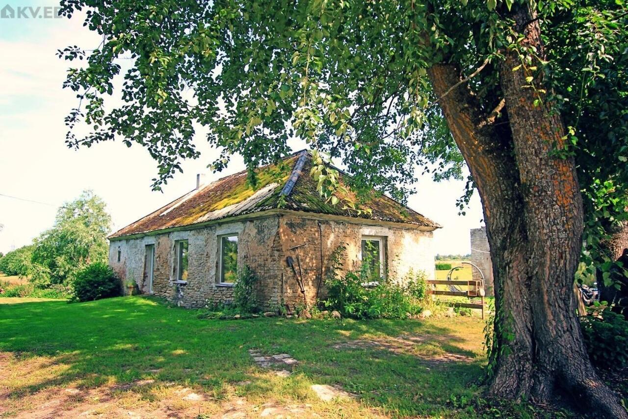 B&B Rando & Kaerdi Juures Oue Lyuganuse Buitenkant foto